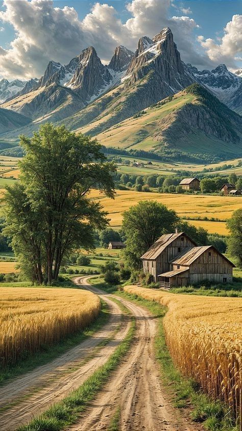 İlan Fotoğrafı